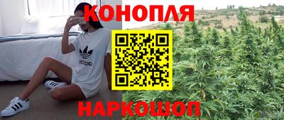 гидра Краснознаменск