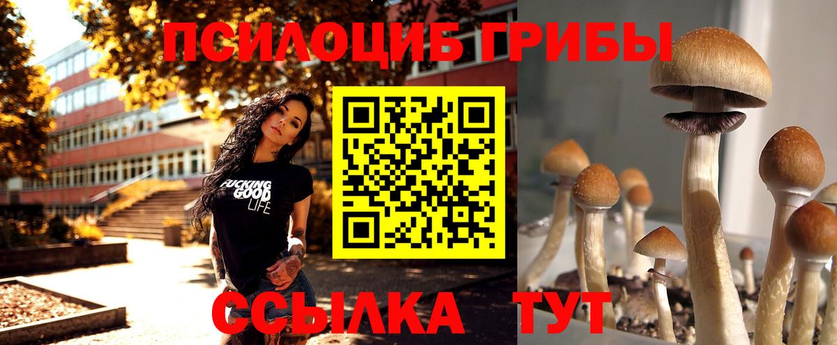 Псилоцибиновые грибы мухоморы  Псилоцибиновые грибы мухоморы  Вход с VPN  Азов 